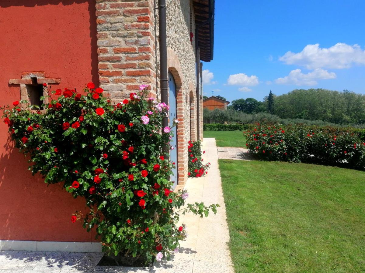 Agriturismo Dolce Colle Volpago del Montello Exterior foto